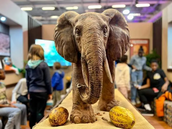 Salon du Chocolat de Paris 2022 : les chocolatiers ivoiriens presentent leur savoir-faire