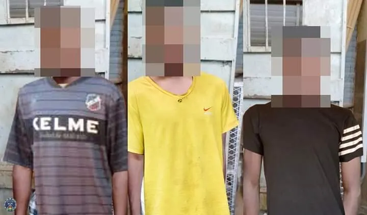 Burkina : fin de parcours d’un gang à Dapélogo
