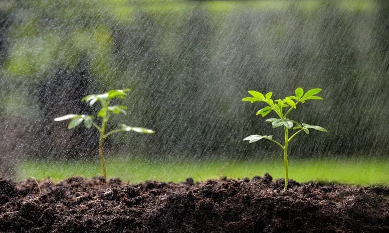 Saisons des pluies 2023