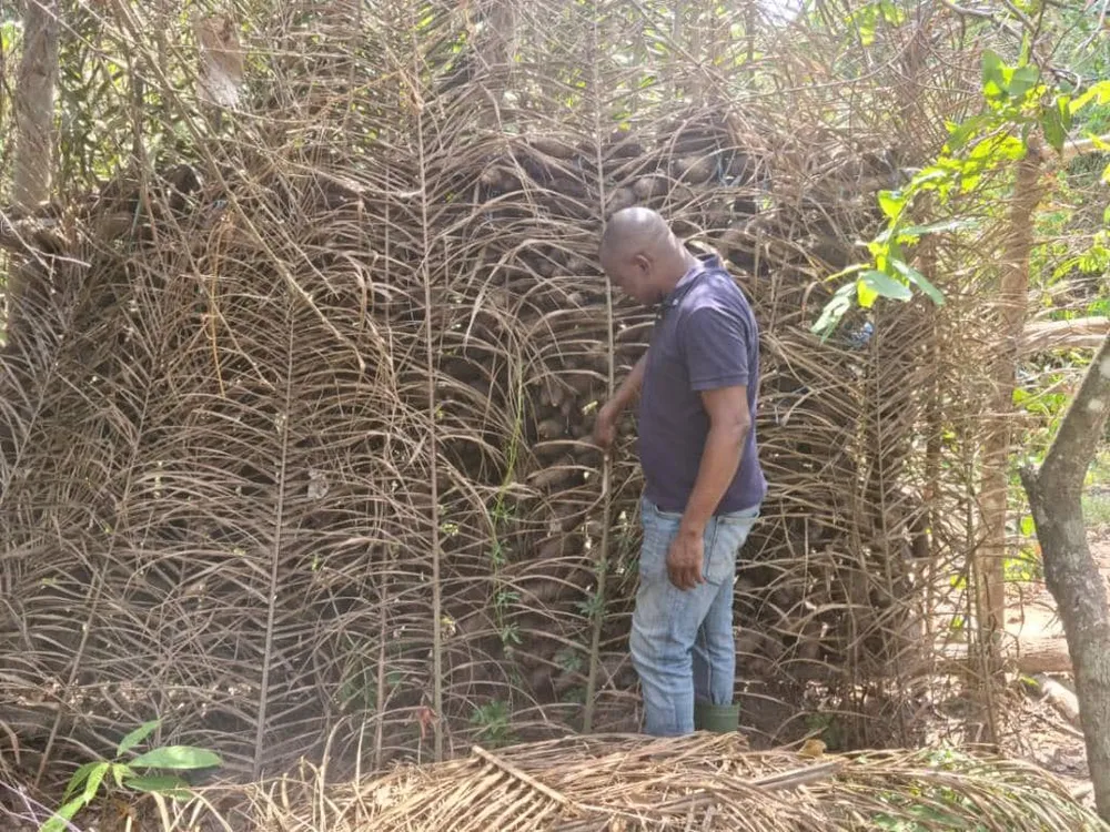 Vincent Toh Bi ses conseils aux Ivoiriens : « Y’a lahan dedans »