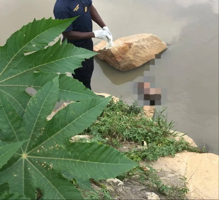 Le corps flottant en lagune d’un nouveau né repêché sur la voie exprès Yopougon -Adjamé: des images