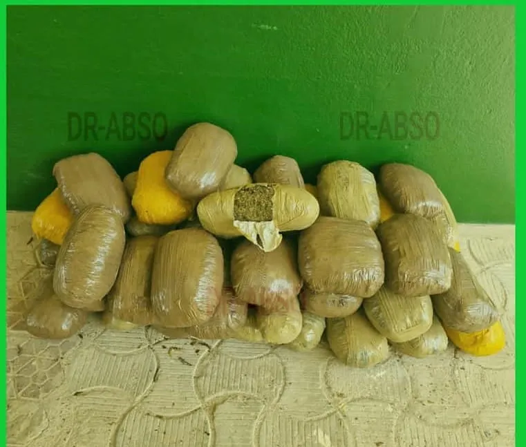 Trafic de drogue Côte d’Ivoire: nouveau coup de filet de la police ivoirienne, saisie 43 kg de cannabis à Koffikro