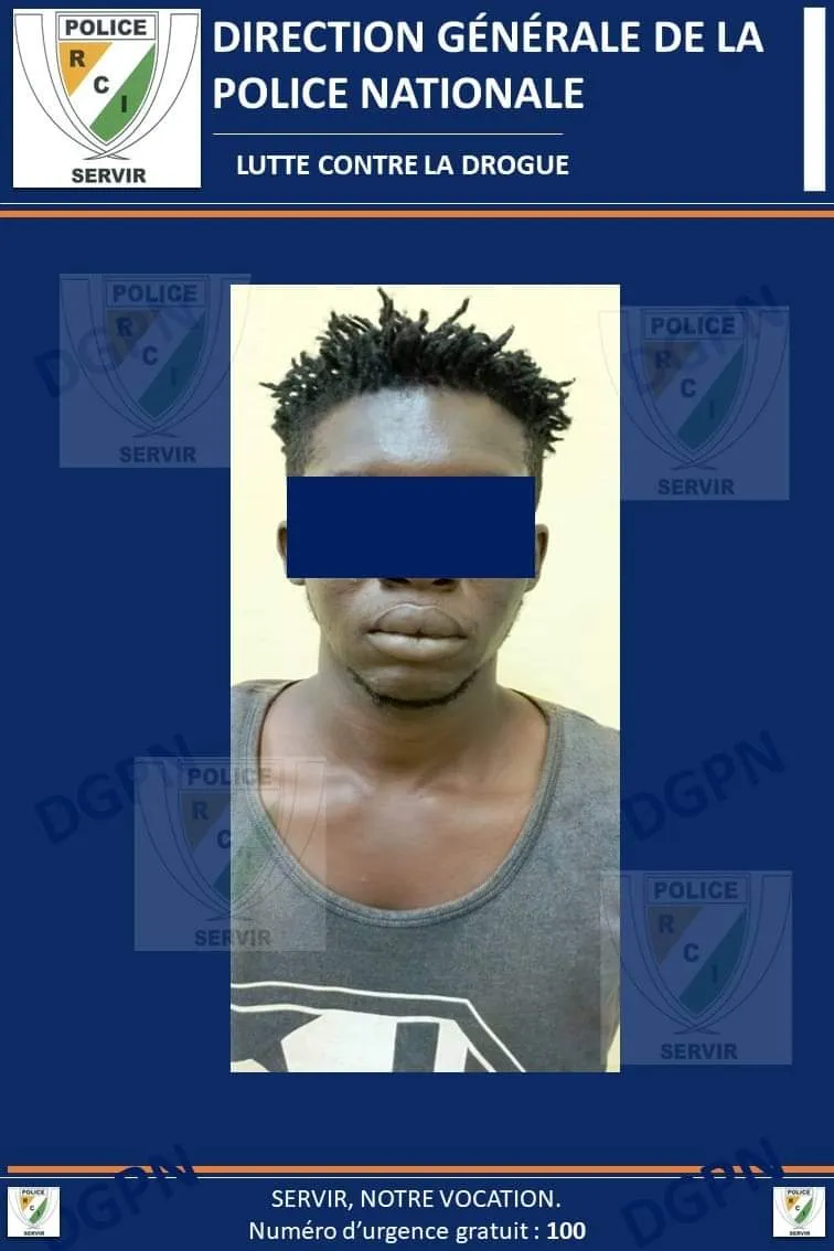 Trafic de drogue en Côte d’Ivoire : un deal arrêté à Meagui