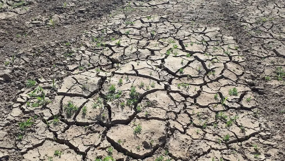 El Niño : une sécheresse prolongée qui menace la Côte d’Ivoire, le pays en alerte rouge (SODEXAM)