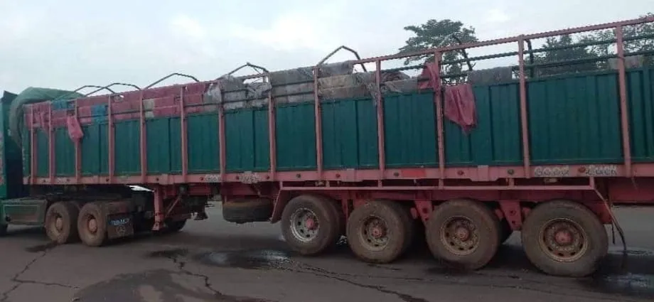 Exportation illégale d’hévéa : la gendarmerie saisit un camion à Damé