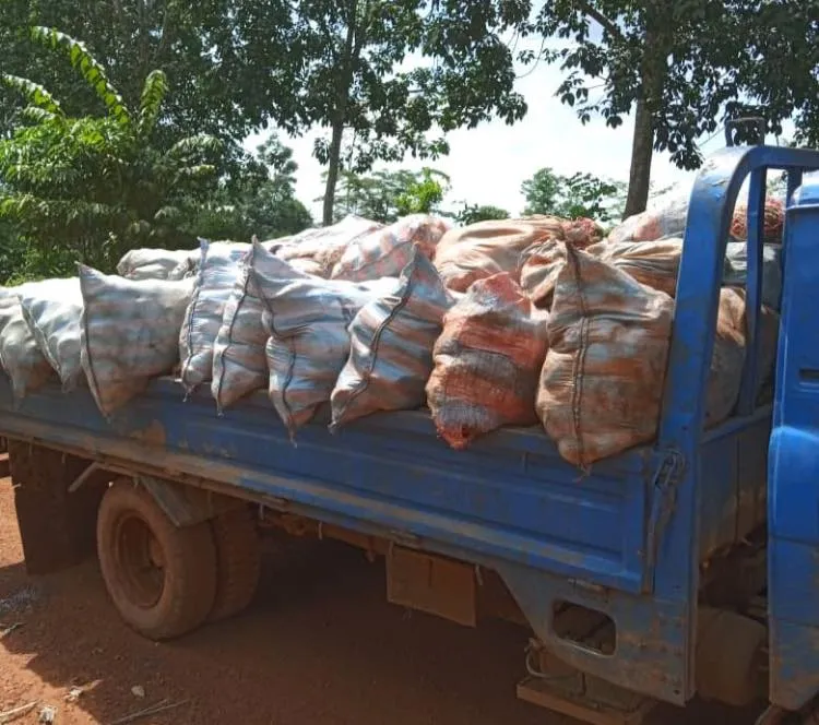 Abengourou : la gendarmerie intercepte un trafic de fonds de tasse d’hévéa à Zouzou