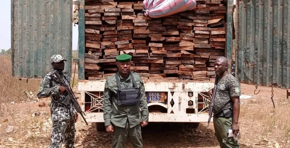 Trafic de bois en Côte d’Ivoire : Saisie d’un véhicule à Korhogo