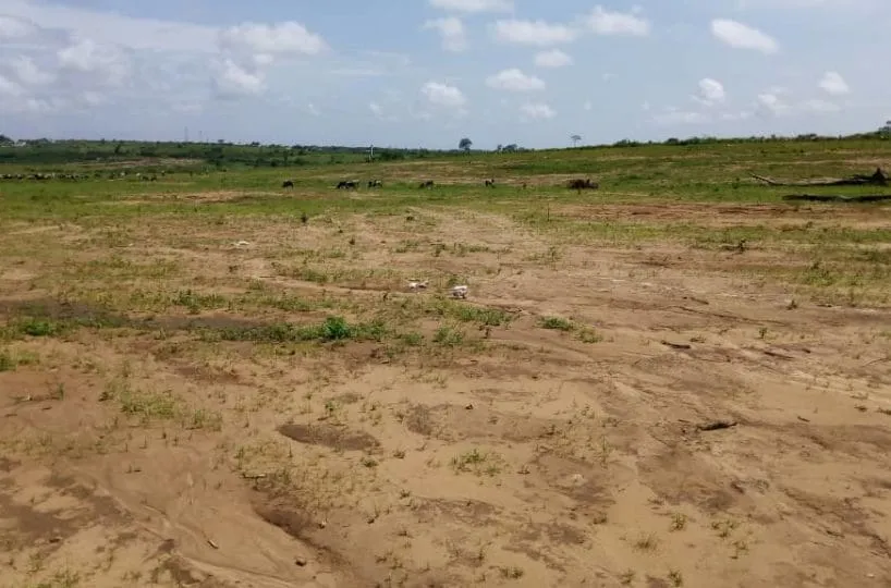 Terrain en Côte d'Ivoire