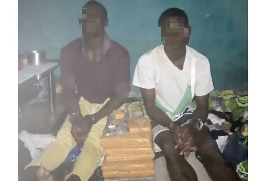 Vavoua : deux individus arrêtés pour trafic de drogue