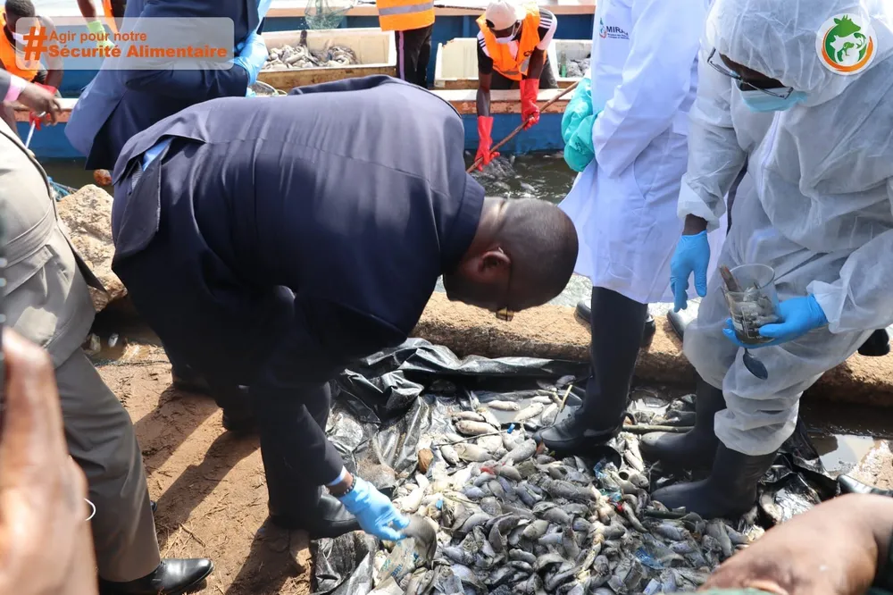 La découverte de plusieurs poissons morts à Koumassi fait grand bruit : les populations s’interrogent, deux ministres sur le terrain