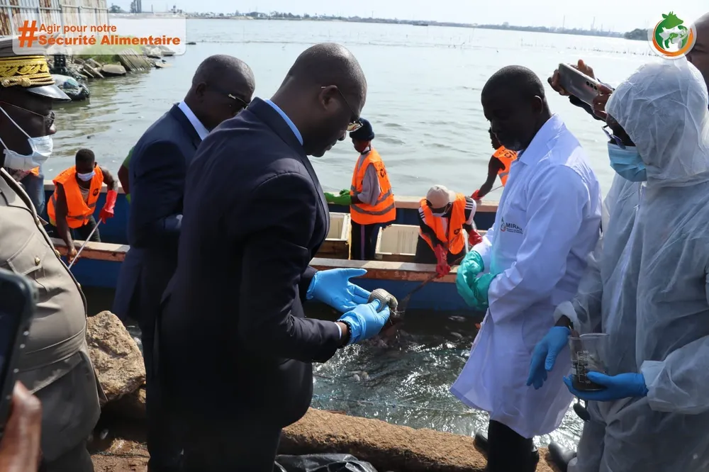 Poissons morts à la baie de Biétry : Le ministre Sidi Touré rassure les populations