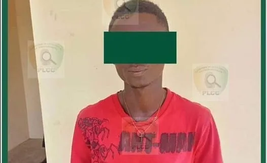 Arnaque :  il pirate le compte Facebook de Dame AMS pour escroquer ses amis et finit en prison