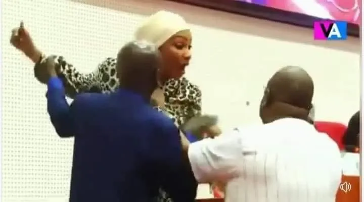 Coups de poing et insultes au Parlement de la CEDEAO