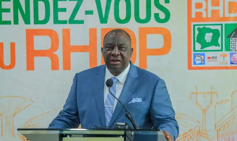 Kobenan Kouassi Adjoumani , Porte-parole Principal du RHDP