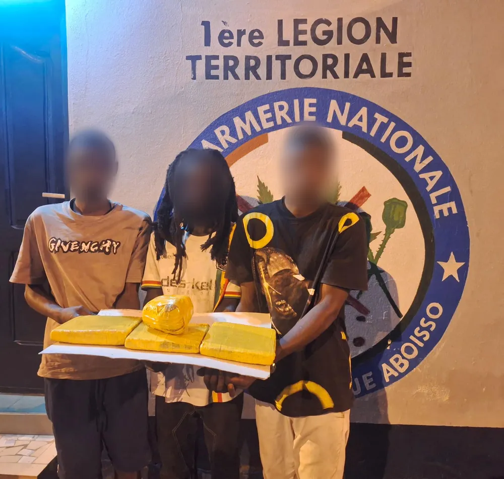 Saisie de cannabis à Fatoukro, Aboisso : trois trafiquants arrêtés par la gendarmerie