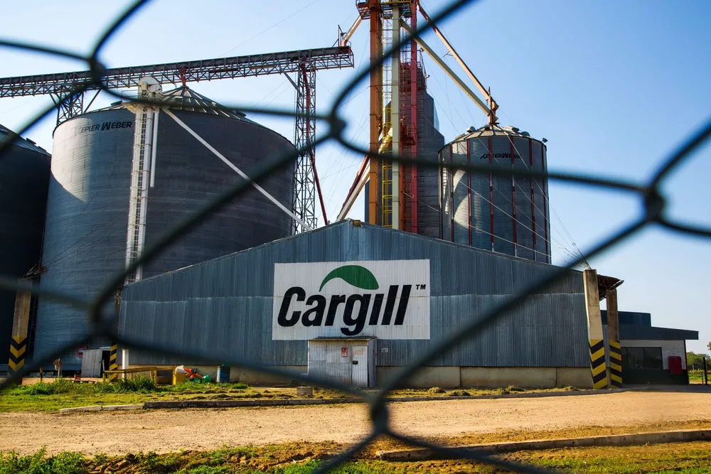 Cacao ivoirien : la suspension de Cargill révèle les urgences internes