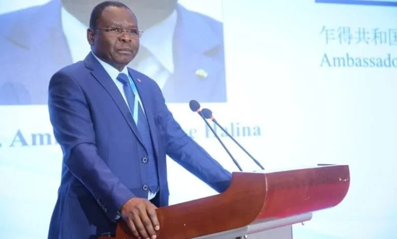 Tchad : Allah Maye Halina nommé Premier ministre image de l'article