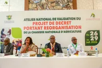 Réorganisation Chambre nationale d'Agriculture : l'atelier de validation ouvert à Yamoussoukro image de l'article