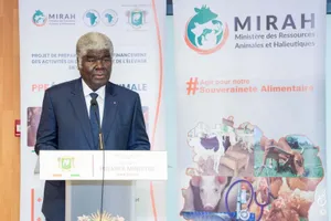 Élevage en Côte d'Ivoire : le gouvernement lance le projet PPF