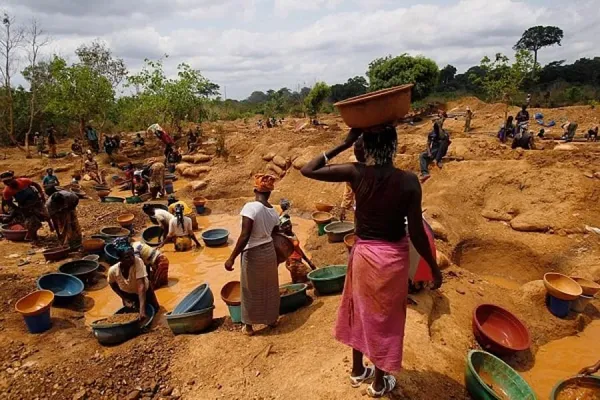 Orpaillage clandestin en Côte d'Ivoire : une tribune revient sur les alertes de Bédié