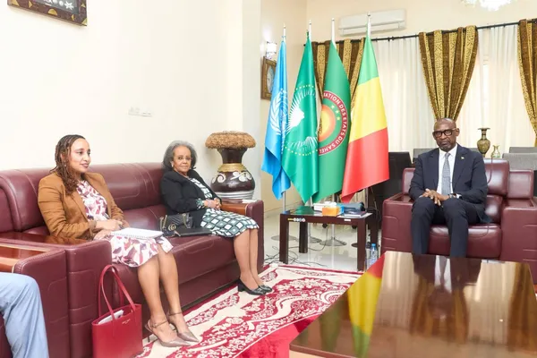 UNOWAS : le Mali réclame un mandat aligné sur l'AES