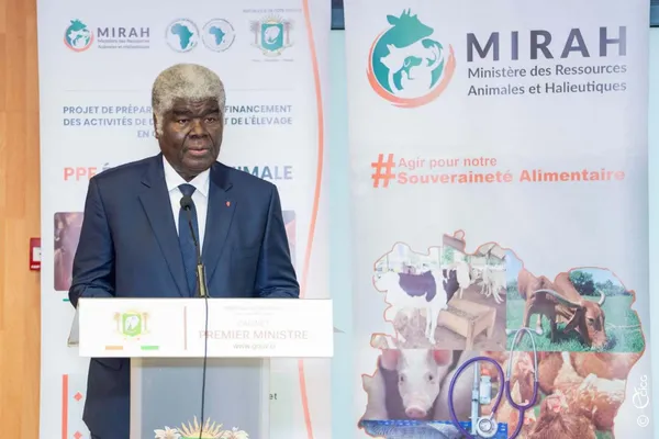 Élevage en Côte d'Ivoire : le gouvernement lance le projet PPF