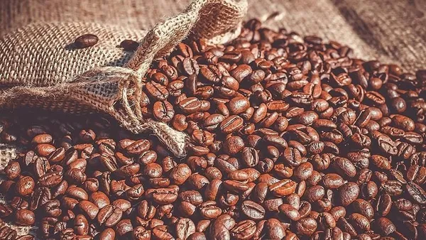 Le Prix bord champ café 2026-2027 en Côte d'Ivoire passe 1700 à 1300 FCFA/kg