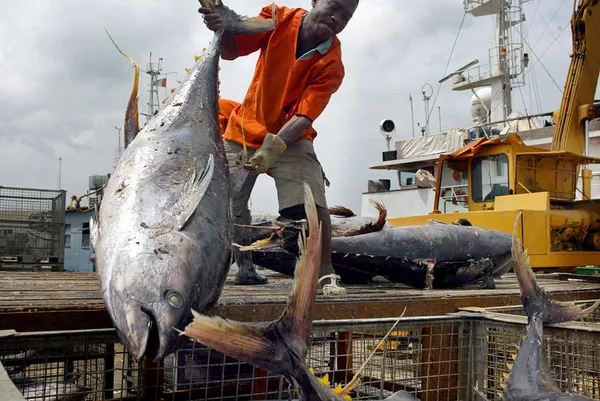 Repos biologique en Côte d'Ivoire : la pêche interdite par décret en mer, en lagune et sur les lacs