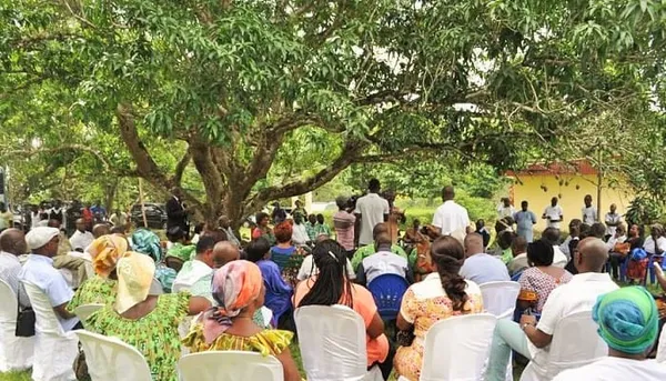 Il y a 74 ans, le Syndicat agricole africain d'Houphouët-Boigny était créé sous ce colatier à Agboville