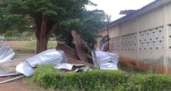 San Pedro : Des agents zélés de la Sodefor saccagent l’école primaire d’Adamandougou