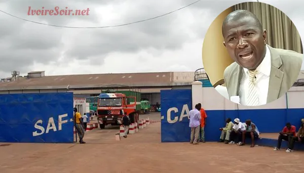 Côte d’Ivoire : Qui veut « liquider » Saf Cacao ?
