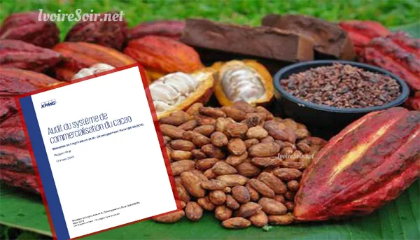 Audit de la filière café-cacao par le cabinet KPMG