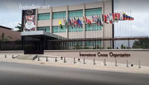 Organisation internationale du cacao : Ouattara retire la candidature de l’Ivoirien Jean-Marc Anga, au profit du Belge Michel Arrion