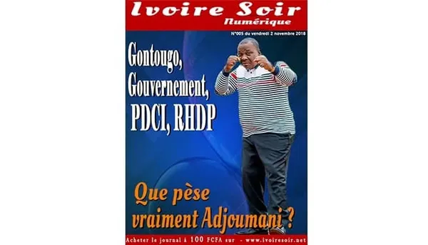 Gontougo, gouvernement, PDCI, RHDP : Que pèse vraiment Adjoumani ? (Acte 1)