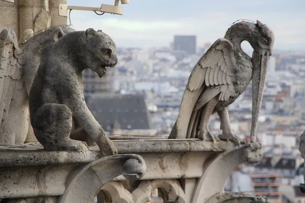 Notre-Dame de Paris: que font ces statues d’animaux sur une Eglise ?