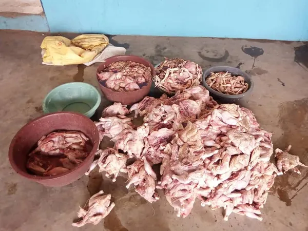 Après le riz avarié, des poulets impropres à la consommation vendus en Côte d’Ivoire