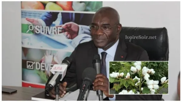 La Côte d’Ivoire 3e producteur africain de coton après le Mali et le Bénin