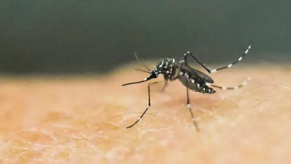 Dengue au Burkina : un arsenal de mesures pour enrayer l’épidémie