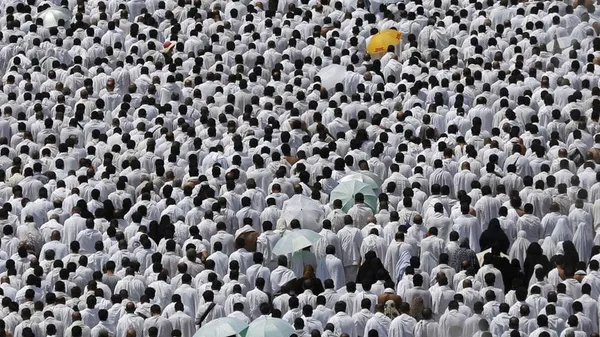Hadj 2019: huit morts parmi les 8.300 pèlerins guinéens