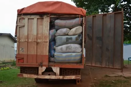 Côte d’Ivoire: 153 tonnes de produits phytosanitaires saisis à Oumé
