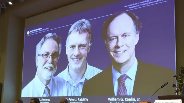 Prix Nobel de médecine 2019: voici les lauréats