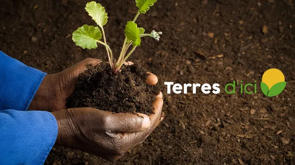 Terresdici.com lancé à la veille du SARA 2019