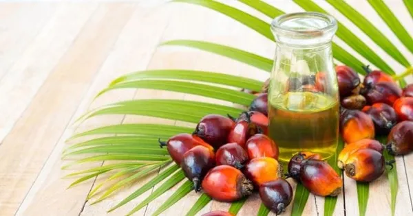 La Côte d’Ivoire suspend ses exportations d’huile de palme brute et raffinée