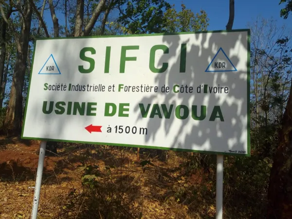 SIFCI : les agents de Vavoua reçoivent 1 mois d’arriéré de salaire, sur les 4 que doit l’entreprise