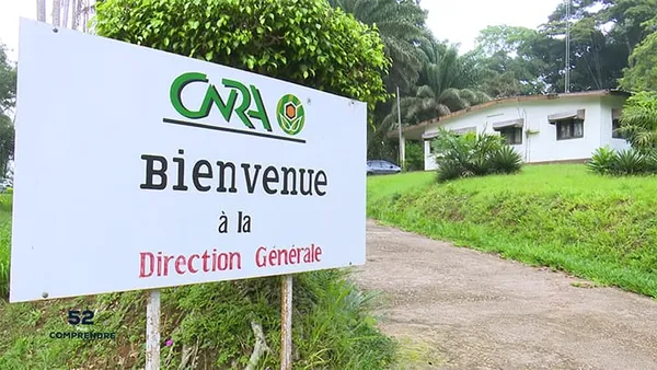 Côte d’Ivoire : le CNRA cambriolé en plein couvre-feu