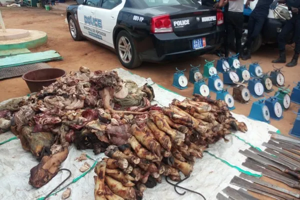 Yopougon : de la viande de bœuf impropre à la consommation retirée du marché Bagnon