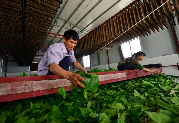 (Deux Sessions) La Chine assurera l’éradication de la pauvreté dans les zones rurales en 2020 – Actualités 22/05/2020