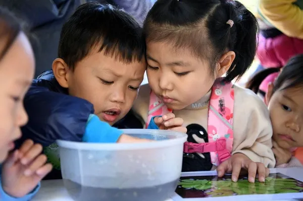 Une responsable onusienne salue la mise en œuvre par la Chine de la Convention sur la diversité biologique – Actualités 22/05/2020