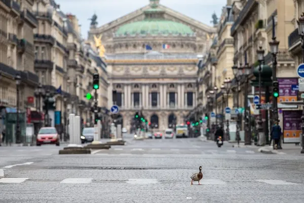 (COVID-19) La France envisage de prolonger l’état d’urgence sanitaire jusqu’au 24 juillet – Actualités 03/05/2020
