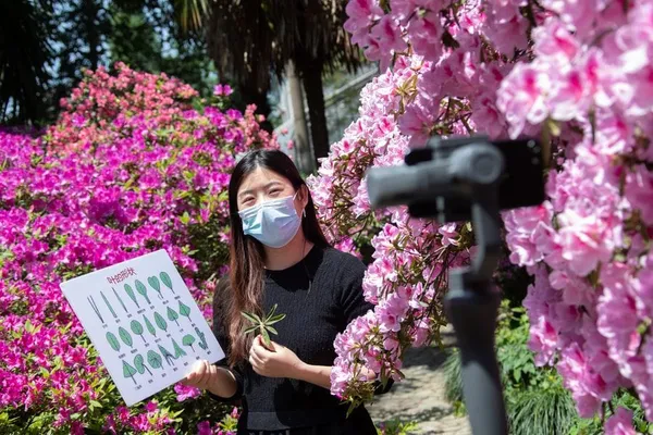 La Chine compte 731 millions d’utilisateurs de services d’actualités – Actualités 05/05/2020